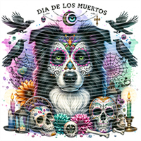 Animal Text Series-AT 248